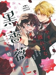 蜂蜜与四叶草